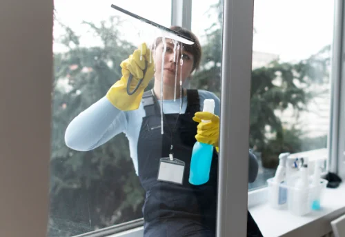 Nettoyage de vitres intérieures et extérieures à Thizay